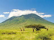 ケニア・タンザニア・ウガンダ｜ンゴロンゴロ自然保護区