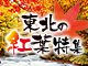 東北の紅葉
