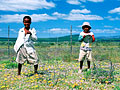 南アフリカ観光ガイド｜コーサ族の少年