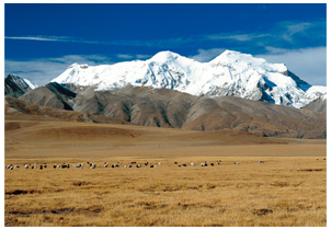 チベット高原