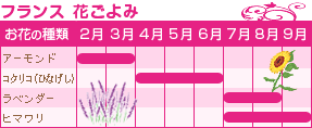 花カレンダー