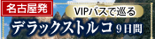 VIPバスで巡るトルコ