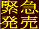 【ヨーロッパ】3/9〜先着受付！