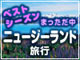 【ニュージーランド】