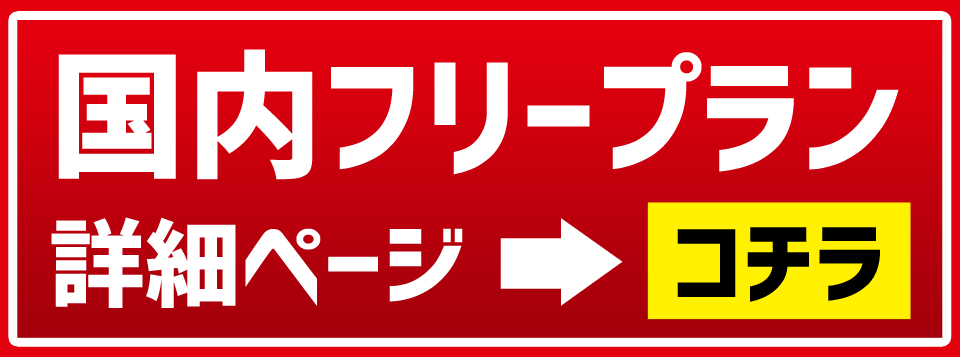 国内フリープラン 詳細ページ コチラ