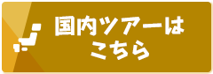 国内ツアーはこちら