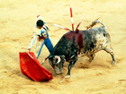 スペイン観光ガイド｜闘牛