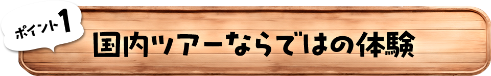 ポイント1　国内ツアーならではの体験