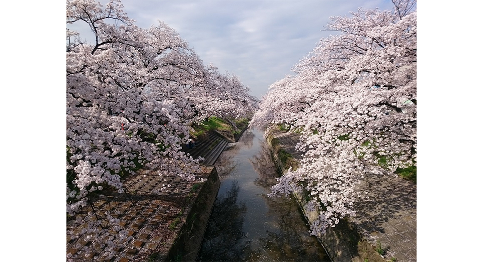 1400年に渡る悠久の歴史を伝える 最古の国道 日本遺産ストーリーを訪ねる旅行 ツアー 阪急交通社