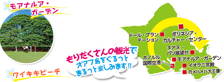 もりだくさんハワイ 海外旅行 ツアー 阪急交通社