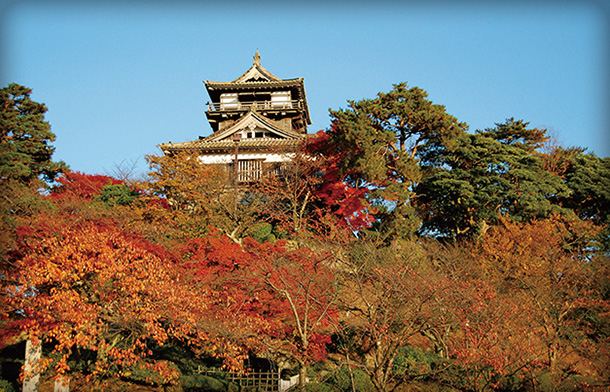 中部・北陸エリア】日本の名城旅行・ツアー特集｜阪急交通社