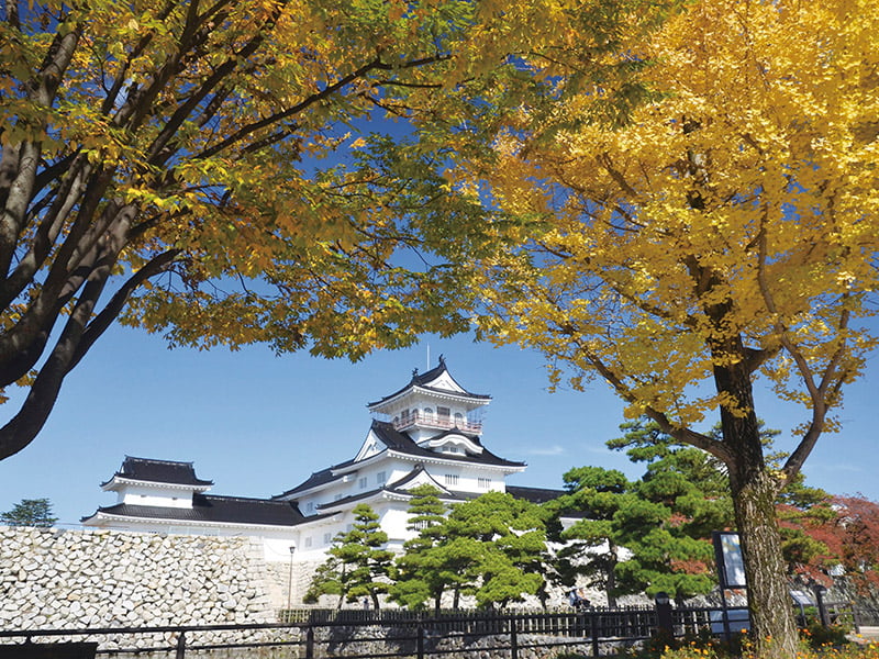 富山城址公園