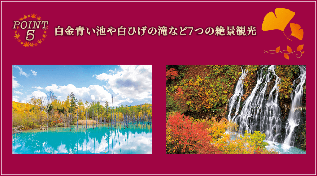 POINT5 白金青い池や白ひげの滝など7つの絶景観光