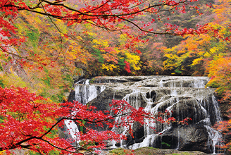 紅葉旅行 ツアー特集 阪急交通社