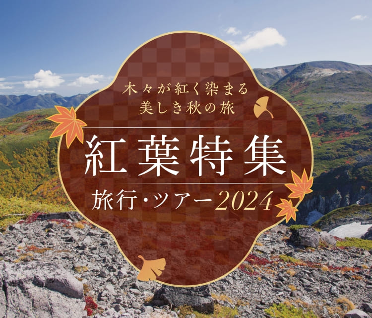 大雪山 紅葉 2024】オススメのスポット・名所7選！見頃の時期も紹介｜阪急交通社