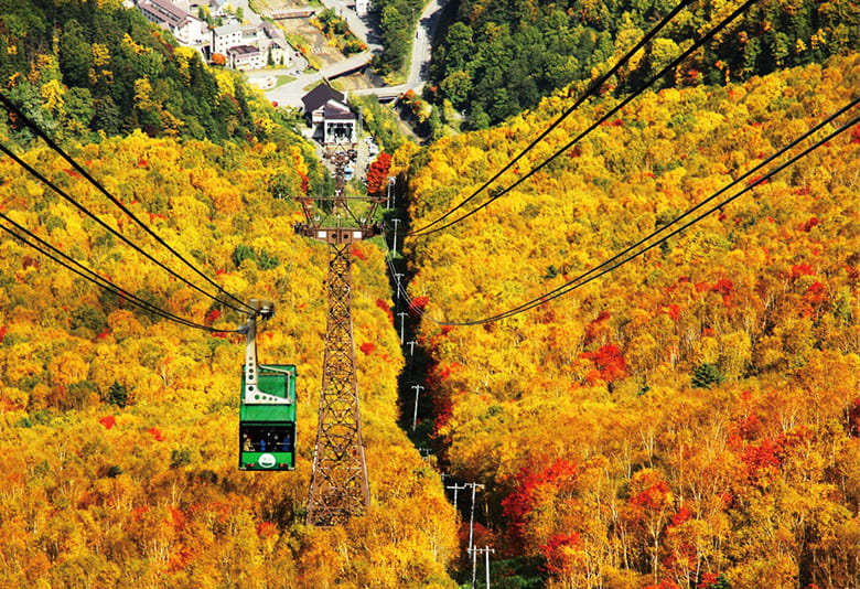 大雪山 紅葉 2024】オススメのスポット・名所7選！見頃の時期も紹介｜阪急交通社