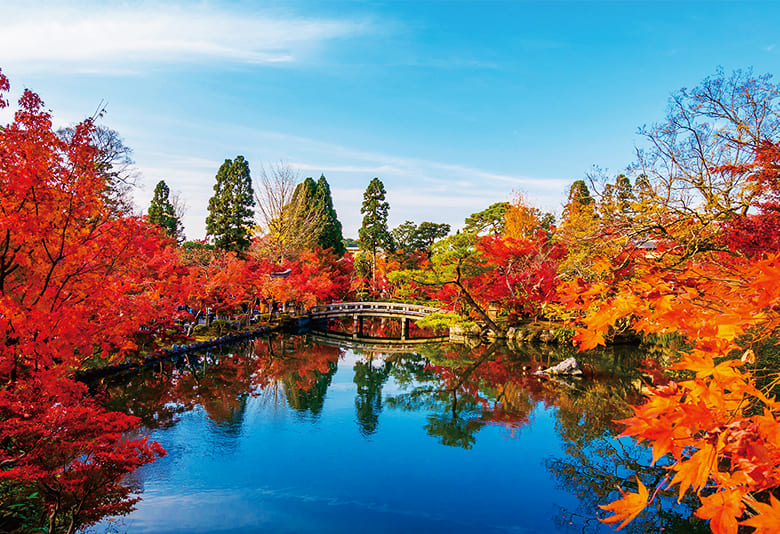 京都 紅葉 ベスト 人気 スポット