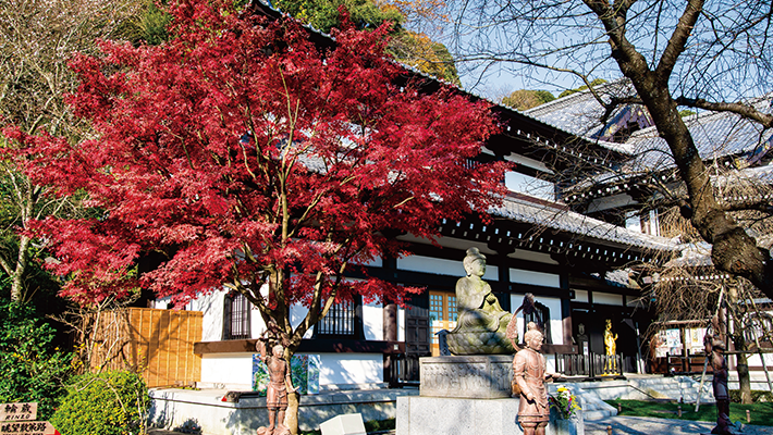 鎌倉 箱根 紅葉スポット ツアー情報 阪急交通社