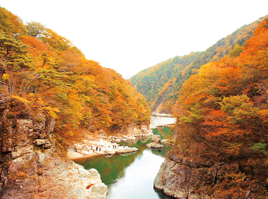 鬼怒川温泉 紅葉スポット ツアー情報 阪急交通社