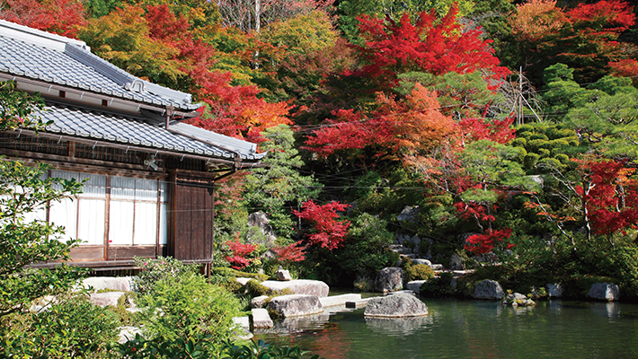 湖東三山 高野山 紅葉スポット ツアー情報 阪急交通社