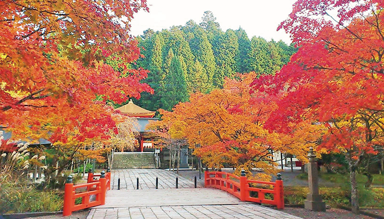 湖東三山 高野山 紅葉旅行 ツアー特集 阪急交通社