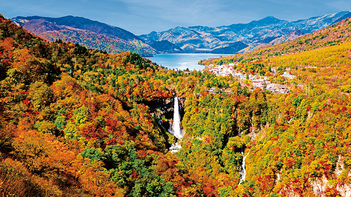 日光 紅葉旅行 ツアー特集 阪急交通社