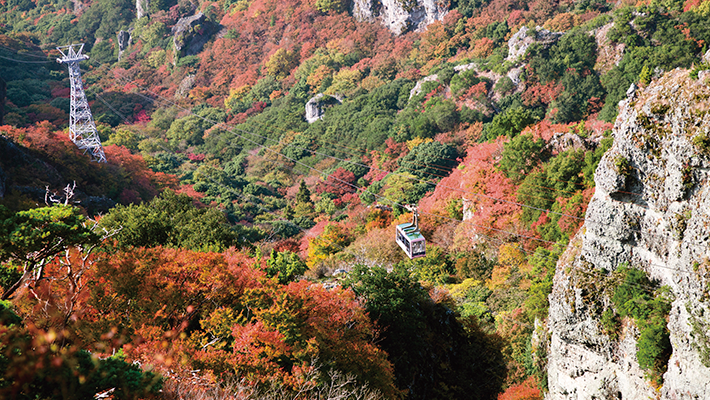 小豆島 大山 紅葉旅行 ツアー特集 阪急交通社