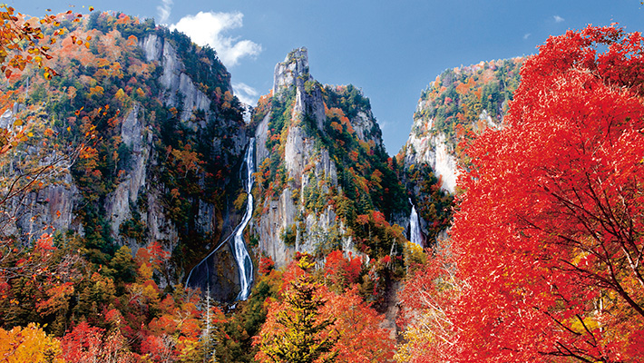 札幌 大雪山 紅葉旅行 ツアー特集 阪急交通社