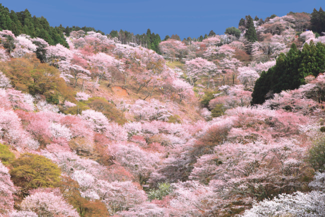 日光国立公園