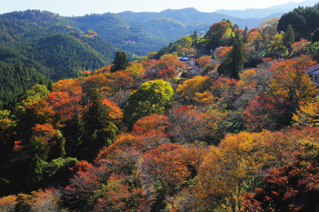 吉野山