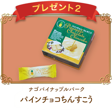 プレゼント2 ナゴパイナップルパーク パインチョコちんすこう