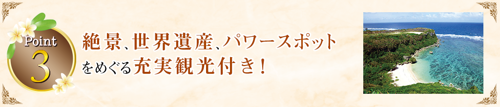 Point3 絶景、世界遺産、パワースポットをめぐる充実観光付き！