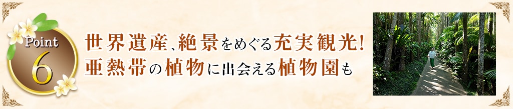 Point6 世界遺産、絶景をめぐる充実観光！亜熱帯の植物に出会える植物園も