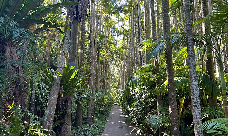 東南植物楽園