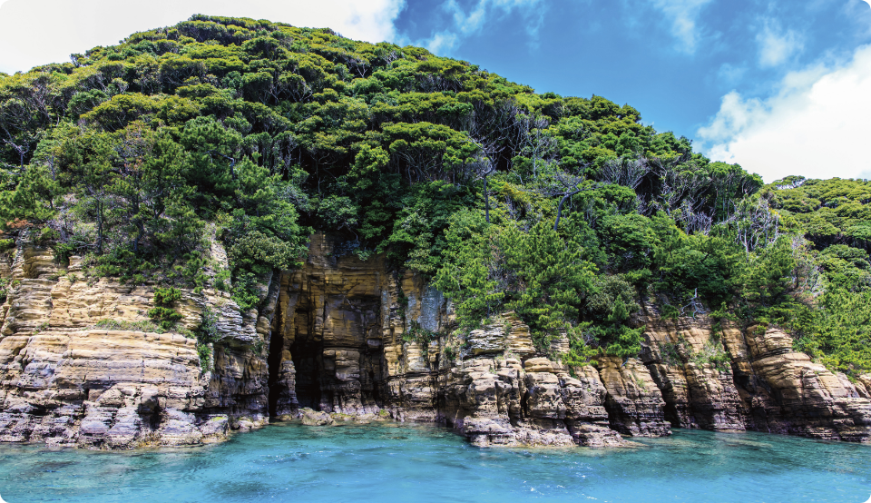 壱岐 島 オファー ベスト シーズン