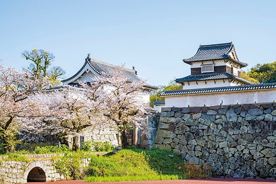 舞鶴公園