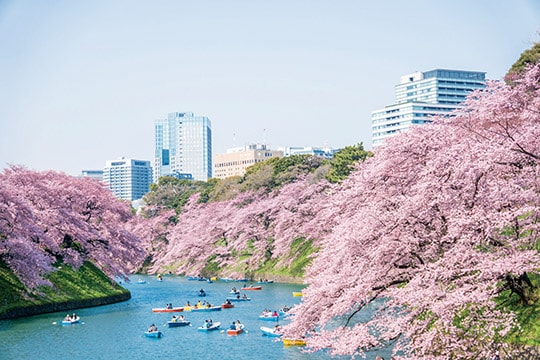 千鳥ヶ淵