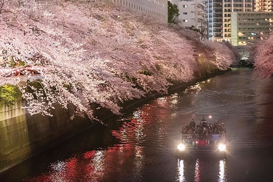 目黒川