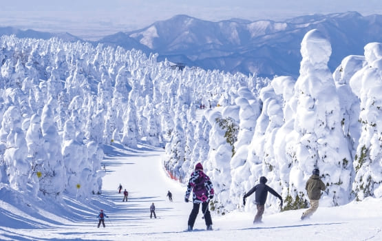 蔵王温泉スキー場　樹氷　雪山　スキー