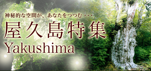 屋久島ツアー 旅行特集 阪急交通社