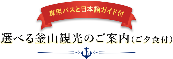 選べる釜山観光のご案内（ご夕食付）