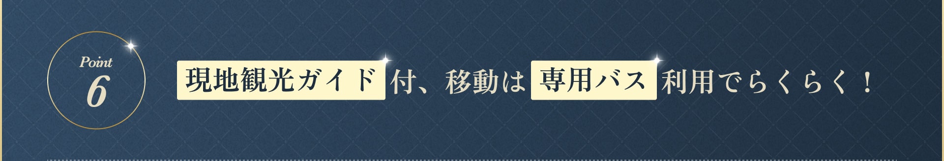 現地観光ガイド付、移動は専用バス利用でらくらく！