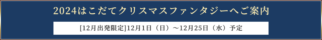 2024はこだてクリスマスファンタジーへご案内 [12月出発限定]12月1日（日）〜12月25日（水）予定