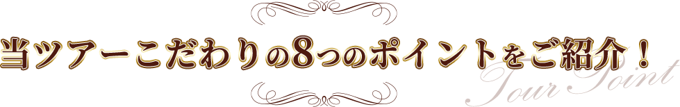 当ツアーこだわりの8つのポイントをご紹介！