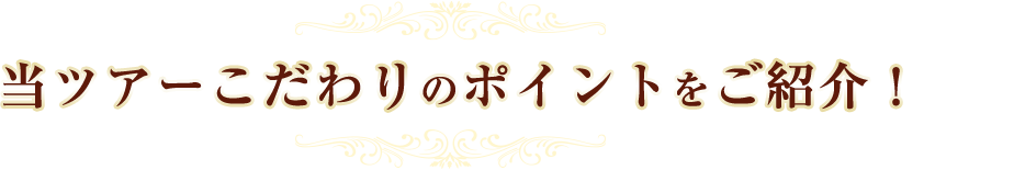 当ツアーこだわりのポイントをご紹介！