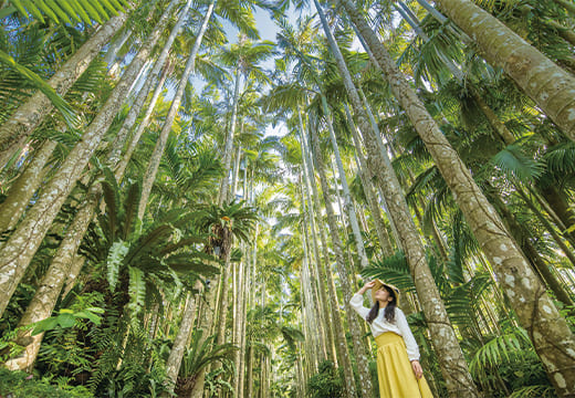 東南植物楽園