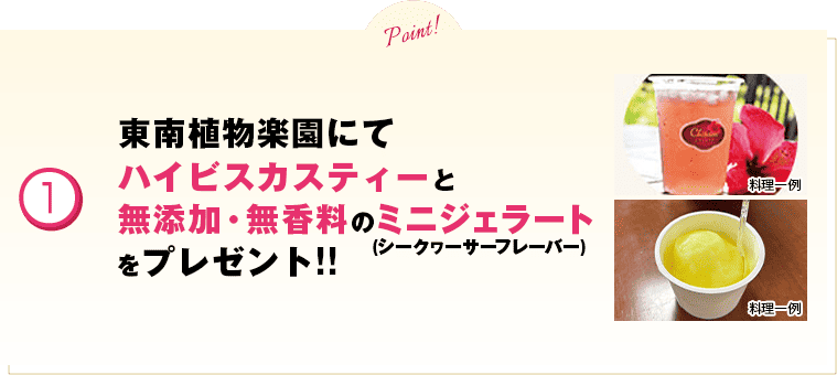 1 東南植物楽園にてハイビスカスティーと無添加・無香料のミニジェラートをプレゼント!!