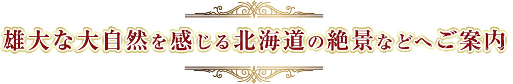 雄大な大自然を感じる北海道の絶景などへご案内