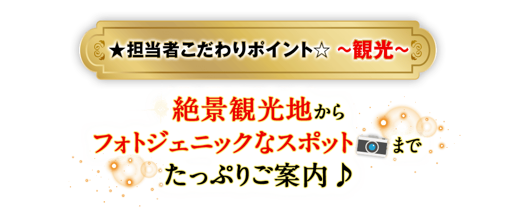 担当者こだわりポイント〜観光〜 絶景観光地からフォトジェニックなスポットまでたっぷりご案内♪