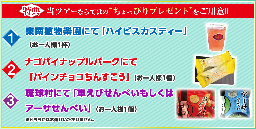 特典 当ツアーならではの「ちょっぴりプレゼント」をご用意